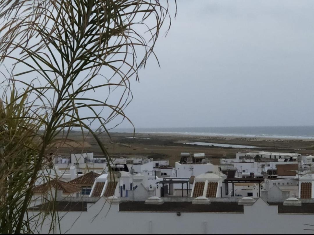 La Trinia Διαμέρισμα Conil De La Frontera Εξωτερικό φωτογραφία